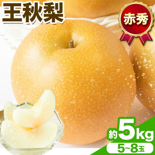 【先行予約】王秋梨 赤秀 約5kg (5～8玉) JA鳥取いなば《2025年11月上旬-11月末頃出荷》鳥取県 八頭町 梨 なし ナシ 果物 フルーツ  ふるさと納税 送料無料 王秋梨 果実 果汁 常温便 2091076 - 鳥取県八頭町