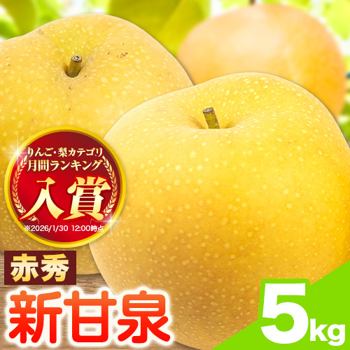 【先行予約】新甘泉 赤秀 約5kg JA鳥取いなば《8月下旬-9月上旬頃出荷》鳥取県 八頭町 梨 なし 果物 しんかんせん フルーツ ふるさと納税 送料無料 果実 果汁 常温便 2091078 - 鳥取県八頭町