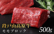 酒粕育ち 幻の牛 段戸山高原牛 モモブロック500g（250g×2）ブロック肉 蓬莱泉 塊肉 牛肉 国産牛 ステーキ ローストビーフ 非加熱