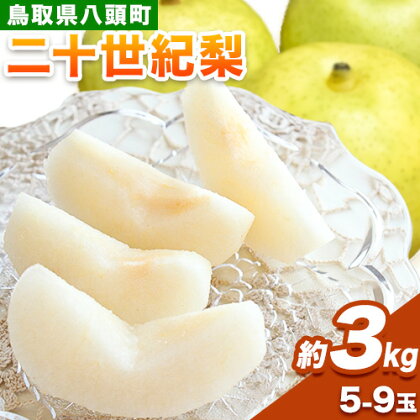 【先行予約】 梨 二十世紀梨 約3kg (5～9玉入り) 旬菜まるや 《9月中旬-10月上旬頃出荷》 鳥取県 八頭町 送料無料 なし 二十世紀 果物 フルーツ お取り寄せ 3kg 2091120 - 鳥取県八頭町
