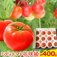 【先行予約】ミディトマト 花咲姫 400g 井尻農園 《6月中旬-8月上旬頃出荷》鳥取県 八頭町 送料無料 トマト ミディ 野菜