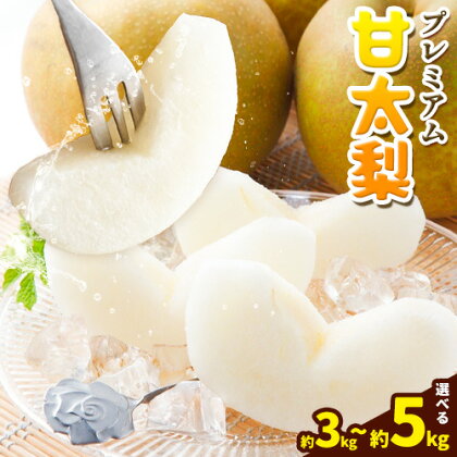 プレミアム 甘太梨 選べる 約3kg 3-10玉 約5kg 5-16玉 高間商店《9月下旬-11月上旬頃出荷》 鳥取県 八頭町 梨 なし ナシ 果物 フルーツ 先行予約 ふるさと納税 送料無料 甘い 果実 果汁 デザート 2091125 - 鳥取県八頭町
