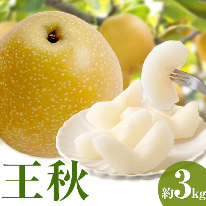 【先行予約】王秋梨 約3kg (4から6玉) 野田農園《2025年10月上旬から12月中旬出荷予定》鳥取県 八頭町 梨 なし ナシ 果物 フルーツ  ふるさと納税 送料無料 王秋梨 果実 果汁 常温便 2091126 - 鳥取県八頭町