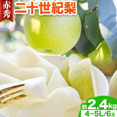  梨 二十世紀梨 赤秀 4L～5Lサイズ 2.4kg (6玉入り) やずふれあい市場 《9月上旬-9月末頃出荷予定》 鳥取県 八頭町 送料無料 なし 二十世紀 果物 フルーツ お取り寄せフルーツ 2091127 - 鳥取県八頭町
