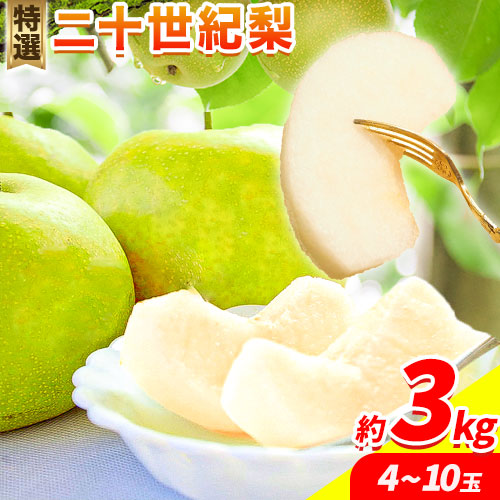 【2025年先行予約】特選 二十世紀梨 約3kg (4～10玉) 3L～5Lサイズ《8月下旬-10月上旬頃出荷》 鳥取県 八頭町 梨 なし ナシ 果物 フルーツ 先行予約 ふるさと納税 送料無料 甘い 果実 果汁 デザート 2091128 - 鳥取県八頭町
