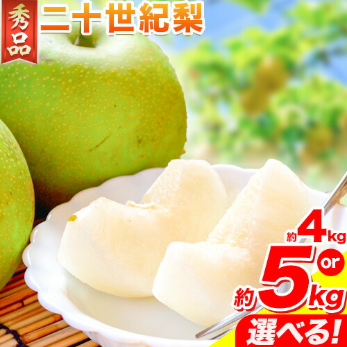 なし 梨 秀品 二十世紀梨 選べる 約4kg 約5kg 高間商店《8月下旬-10月上旬頃出荷》鳥取県 八頭町 果物 フルーツ 和梨 2091129 - 鳥取県八頭町