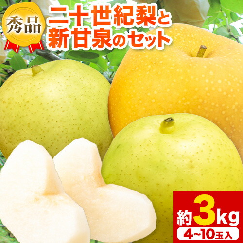 【先行予約】なし 梨 秀品 二十世紀梨と新甘泉梨のセット 約3kg(4～10玉入) 高間商店《2025年8月下旬-10月上旬頃出荷》鳥取県 八頭町 青果物 フルーツ 梨 和梨 2091130 - 鳥取県八頭町