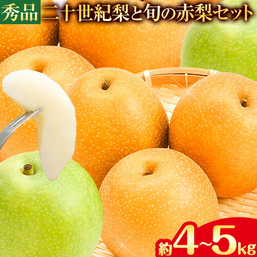【先行予約】秀品 二十世紀梨と旬の赤梨セット 選べる 約4kg (8～16玉) 約5kg (10～18玉)《2025年8月下旬-10月上旬頃出荷》 鳥取県 八頭町 梨 なし ナシ 果物 フルーツ ギフト 先行予約 ふるさと納税 送料無料 甘い 果実 果汁 デザート 2091131 - 鳥取県八頭町