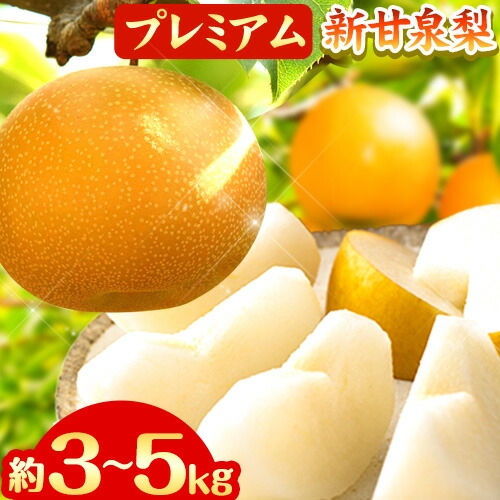 【先行予約】なし 梨 プレミアム 新甘泉 選べる 約3kg (4～10玉) 約5kg (7～16玉) 高間商店《2025年8月下旬-10月上旬頃出荷》 鳥取県 八頭町 梨 なし ナシ 果物 フルーツ 厳選 先行予約 ふるさと納税 送料無料 甘い 果実 果汁 デザート 新甘泉梨 赤梨 2091132 - 鳥取県八頭町
