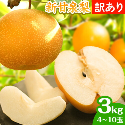 【先行予約 】訳あり なし 梨 新甘泉 約3kg (4～10玉) 高間商店《2025年8月下旬-10月上旬頃出荷》 鳥取県 八頭町 梨 なし ナシ 果物 フルーツ  ご家庭用 訳あり 先行予約 ふるさと納税 送料無料 甘い 果実 果汁 デザート 新甘泉梨 赤梨 2091133 - 鳥取県八頭町