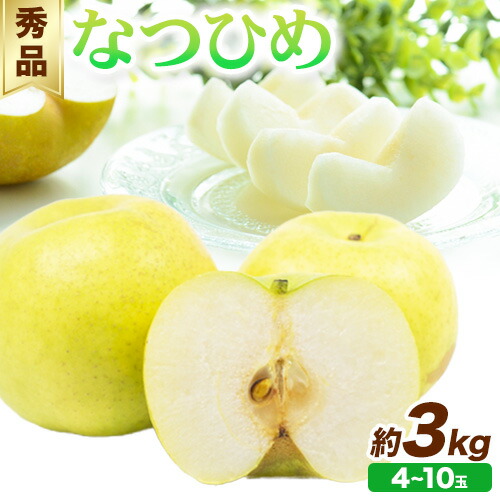 【先行予約】秀品 なつひめ 約3kg (4～10玉)《2025年8月中旬-9月上旬頃出荷》鳥取県 八頭町 梨 なし ナシ 果物 フルーツ 秀品 なつひめ ギフト　果汁　先行予約　ふるさと納税　国産　高間商店 2091135 - 鳥取県八頭町
