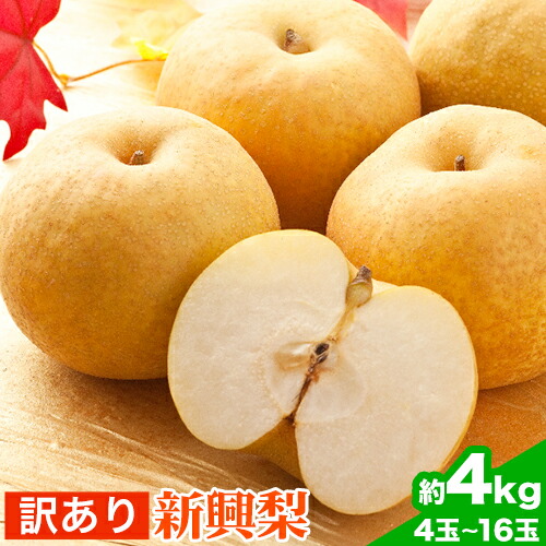 訳あり 新興梨 約4kg (4～16玉) 高間商店《10月上旬-11月下旬頃出荷》鳥取県 八頭町 梨 なし ナシ 果物 フルーツ 厳選 訳あり 送料無料 新興梨 甘い 果実 果汁 高間商店 2091138 - 鳥取県八頭町