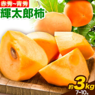 【先行予約】輝太郎柿 赤秀 ～ 青秀 3kg 7～10玉 《2025年10月上旬-10月末頃出荷予定》JA鳥取いなば 鳥取県 八頭町 柿 かき カキ くだもの くだもの 果物 青果物 フルーツ
