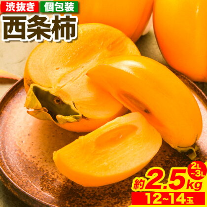 西条柿 2.5kg 個包装 (12玉～14玉) 特秀 ～ 赤秀 JA鳥取いなば《2025年10月下旬-11月末頃出荷予定》渋抜き 2L～3L 柿 かき カキ フルーツ 果物 くだもの 青果物 鳥取県 八頭町 2091141 - 鳥取県八頭町