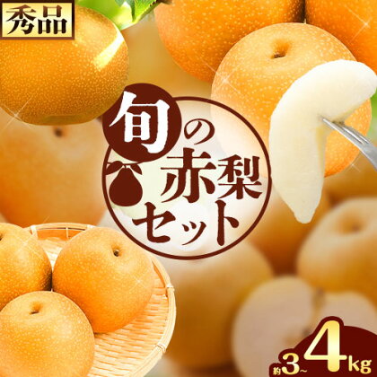 【先行予約】なし 梨 旬の赤梨セット 選べる内容量 約3kg (3～10玉) 約4kg (4～13玉)《8月下旬-1月上旬頃出荷》 鳥取県 八頭町 果物 フルーツ 秀品 厳選 ふるさと納税 高間商店 幸水 豊水 秋栄梨 秋甘泉 新甘泉 新高梨 あたご梨 王秋梨 先行予約 2091143 - 鳥取県八頭町