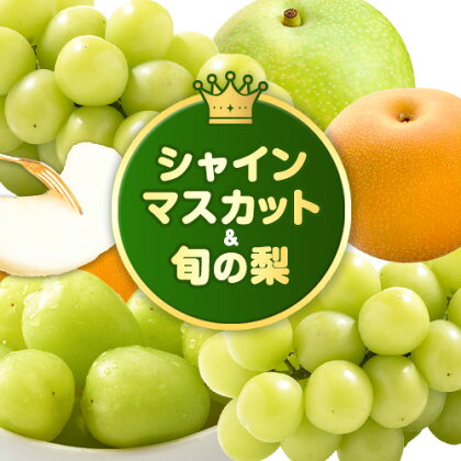 【2026年先行予約】梨 なし シャインマスカット と 旬 の 梨 セット (小) (大) 高間商店《2026年8月下旬-10月中旬頃出荷》 鳥取県 八頭町 果物 くだもの フルーツ マスカット ナシ ぶどう ブドウ 2091149 - 鳥取県八頭町