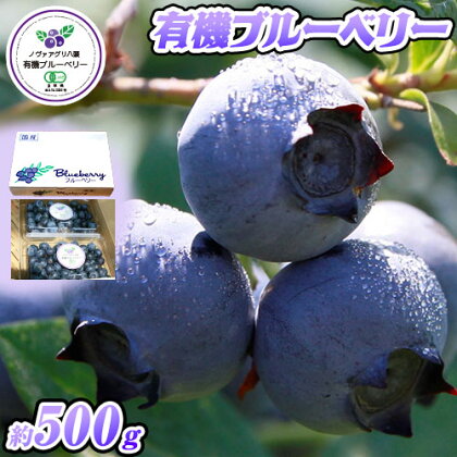 有機ブルーベリー 500g 完熟 ブルーベリー ノヴァアグリ八頭《6月中旬-8月上旬頃出荷予定》鳥取県 八頭町 果実 果物 スイーツ フルーツ 2091150 - 鳥取県八頭町