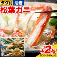 【活き】タグ付き松葉ガニ 中2枚(1枚500～640g) 高間商店《11月中旬-3月下旬頃出荷》鳥取県 八頭町 送料無料 カニ 蟹　かに 松葉ガニ タグ付き ブランド　国産　ふるさと納税