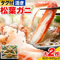【活き】タグ付き松葉ガニ 大2枚入り(1枚あたり800～940g) 高間商店《11月中旬-3月下旬頃出荷》鳥取県 八頭町 送料無料 カニ 蟹 松葉ガニ タグ付き ブランド
