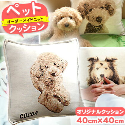 ペットオーダーメイドニット クッション 有限会社 三浅あみものセンター 《90日以内に出荷予定(土日祝除く)》鳥取県 八頭町 思い出 オーダーメイド クッション ペット ニット 2091221 - 鳥取県八頭町