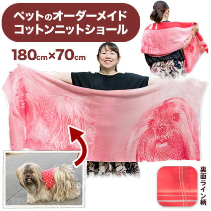 ペットオーダーメイドニット メモリアルコットンショール（ライン柄）有限会社 三浅あみものセンター《90日以内に出荷予定(土日祝除く)》鳥取県 八頭町 ペット写真 思い出 オーダーメイド オリジナルショール マフラー 2091223 - 鳥取県八頭町