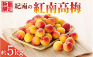 【2025年分予約】紀南の紅南高梅（2L～3Lサイズ）約5kg※2025年6月上旬～中旬頃順次発送予定 / 田辺市 果物 果実 くだもの かじつ 梅 青梅 生梅 梅干し うめぼし 梅酒 梅ジュース 梅シロップ 手作り 自家製 新鮮 【okw001】
