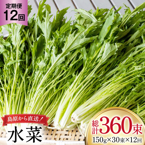 AI340 定期便 12回 水菜 30束 [ 野菜 みずな サラダ やさい 冷蔵 葉物野菜 田中農園 長崎県 島原市 ] 2091347 - 長崎県島原市