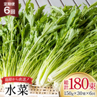 AI339 定期便 6回 水菜 30束 [ 野菜 みずな サラダ やさい 冷蔵 葉物野菜 田中農園 長崎県 島原市 ]