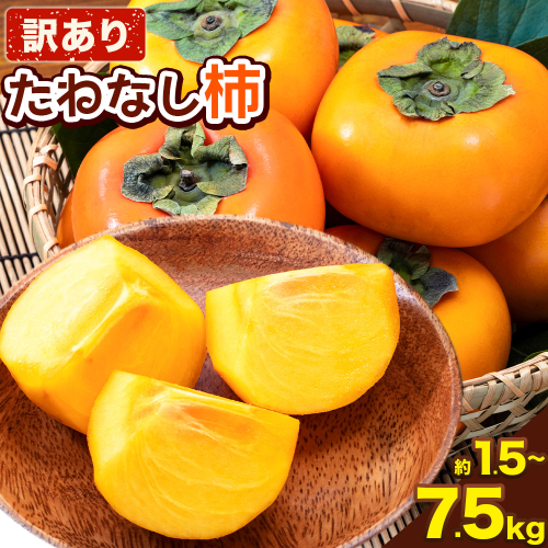 【ご家庭用/訳あり】たねなし柿1.5kg 4kg 7.5kg《2025年9月中旬-11月上旬頃より出荷予定》 和歌山県 紀の川市 柿 カキ かき ジューシー フルーツ 2091360 - 和歌山県紀の川市