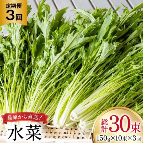 AI335 定期便 3回 水菜 10束 [ 野菜 みずな サラダ やさい 冷蔵 葉物野菜 田中農園 長崎県 島原市 ] 2091549 - 長崎県島原市