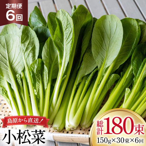 AI333 定期便 6回 小松菜 30束 [ 野菜 こまつな やさい 冷蔵 葉物野菜 田中農園 長崎県 島原市 ] 2091674 - 長崎県島原市