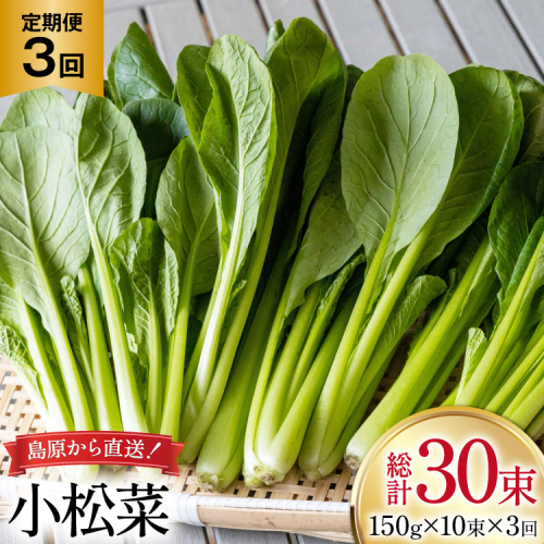 AI329 定期便 3回 小松菜 10束 [ 野菜 こまつな やさい 冷蔵 葉物野菜 田中農園 長崎県 島原市 ] 2091717 - 長崎県島原市