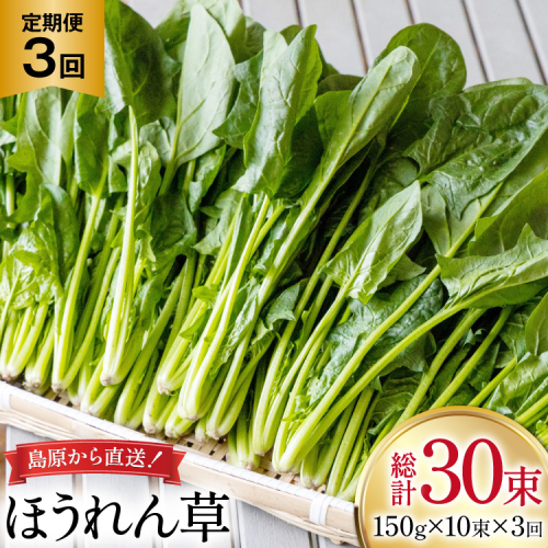 AI323 定期便 3回 ほうれん草 10束 [ 野菜 ホウレン草 やさい ホウレンソウ 冷蔵 葉物野菜 田中農園 長崎県 島原市 ] 2091724 - 長崎県島原市