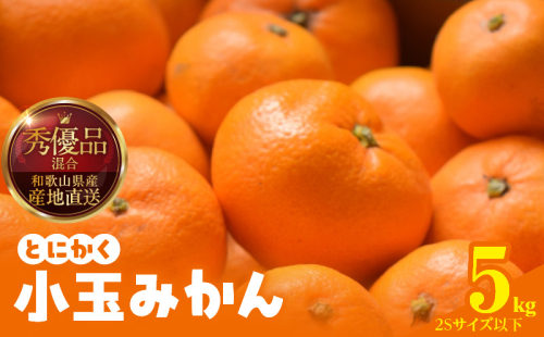 MK1040_【2025年先行予約】みかん とにかく 小玉 箱込 5kg ( 内容量 4.4kg ) 2Sサイズ以下 秀品 優品 混合 有田みかん 和歌山県産 産地直送 【みかんの会】 2091727 - 和歌山県湯浅町