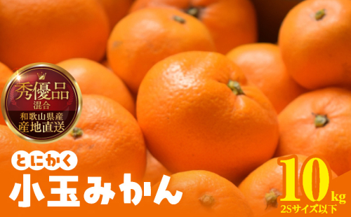 MK1041_【2025年先行予約】みかん とにかく 小玉 箱込 10kg ( 内容量 9.2kg ) 2Sサイズ以下 秀品 優品 混合 有田みかん 和歌山県産 産地直送 【みかんの会】 2091729 - 和歌山県湯浅町