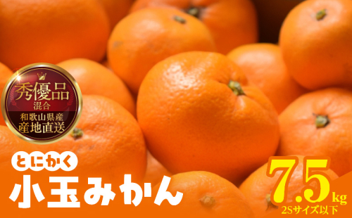 MK1052_【2025年先行予約】みかん とにかく 小玉 箱込 7.5kg ( 内容量 6.8kg ) 2Sサイズ以下 秀品 優品 混合 有田みかん 和歌山県産 産地直送 【みかんの会】 2091730 - 和歌山県湯浅町