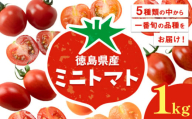 ミニトマト 1kg 《11月上旬-6月末頃出荷》株式会社ヴェリタス 徳島県 美馬市 青果物 野菜 とまと トマト フロランティーノ アルル アマイアリー アイコ 千恋 チコ