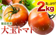 トマト 大玉トマト 2kg 《11月上旬-6月末頃出荷》 ヴェリタス株式会社 徳島県 美馬市 青果物 野菜 とまと トマト