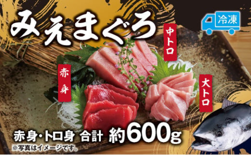 先行予約 マグロ 詰め合わせ 600g 本まぐろ 本鮪 刺身 刺し身 マグロ丼 海鮮丼 大トロ 中トロ トロ 赤身 国産 養殖 みえまぐろ 三重 南伊勢町 伊勢 志摩 2091933 - 三重県南伊勢町