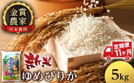 【新米予約】【定期便11回】ゆめぴりか5kg≪杉本農園≫