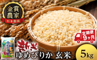 【新米予約】【定期便9回】ゆめぴりか玄米5kg≪杉本農園≫