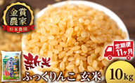 【新米予約】【定期便11回】ふっくりんこ玄米10kg≪杉本農園≫