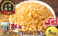 【新米予約】【定期便2回】ふっくりんこ玄米5kg≪杉本農園≫