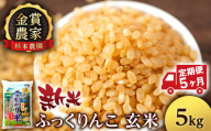 【新米予約】【定期便5回】ふっくりんこ玄米5kg≪杉本農園≫