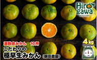 極早生 みかん 家庭用 4kg / 極早生みかん 温州みかん 甘い 家庭用 和歌山 柑橘 ※10月上旬～11月上旬順次発送 ※北海道・沖縄・離島への配送不可 【nuk003-r-4】