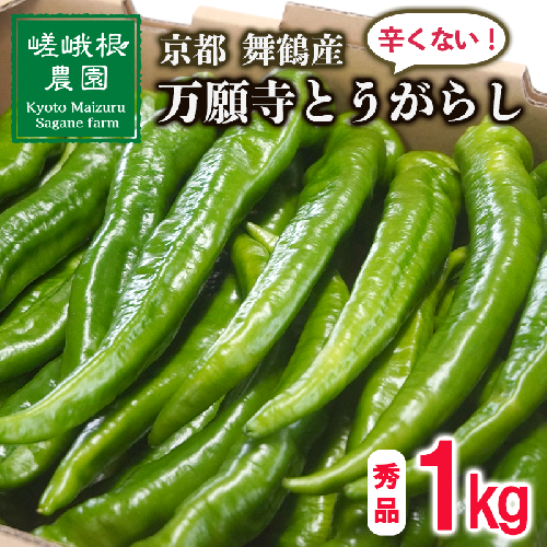 【5月中旬～11月下旬発送】 万願寺 とうがらし 秀品 1kg 辛くない 美味しい おいしい 肉厚 甘い 旬 採れたて 箱入り 伝統野菜 バーベキュー BBQ 野菜 夏野菜 農家 産地 直送 揚げ物 炒め物 煮物 万願寺とうがらし 唐辛子 京都 舞鶴 | まんがんじ 万願寺とうがらし 万願寺唐辛子 唐辛子 ご当地野菜 地場産品 地場野菜 野菜 発祥 とうがらし 京都 京野菜 期間限定 夏野菜 秋 夏 野菜 やさい 箱入り 2092401 - 京都府舞鶴市