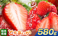 とちあいか 580g | 果物 くだもの フルーツ 野菜 やさい ヤサイ 苺 イチゴ いちご とちあいか 新鮮 甘い 数量 限定 美味しい 果物 共通返礼品 フルーツ デザート 栃木県 那珂川町 送料無料