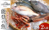 【6月2日お届け】【復興支援】調理ラクラク！能登の魚おまかせセット（2人前）