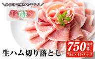 ＜2025年9月中に発送予定＞国産豚生ハム切り落とし75g×10P(計750g) 生ハム おつまみ 小分け 【ナンチク】A302-09-v01