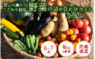 お野菜 6～7品 詰め合わせセット 富士山の湧水でつくる 四季の美味しい 旬 野菜